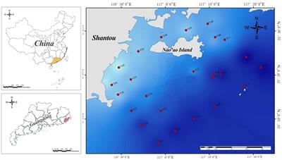 Seasonal changes of plankton community and its influencing factors in subtropical coastal marine areas revealed by eDNA-based network analysis